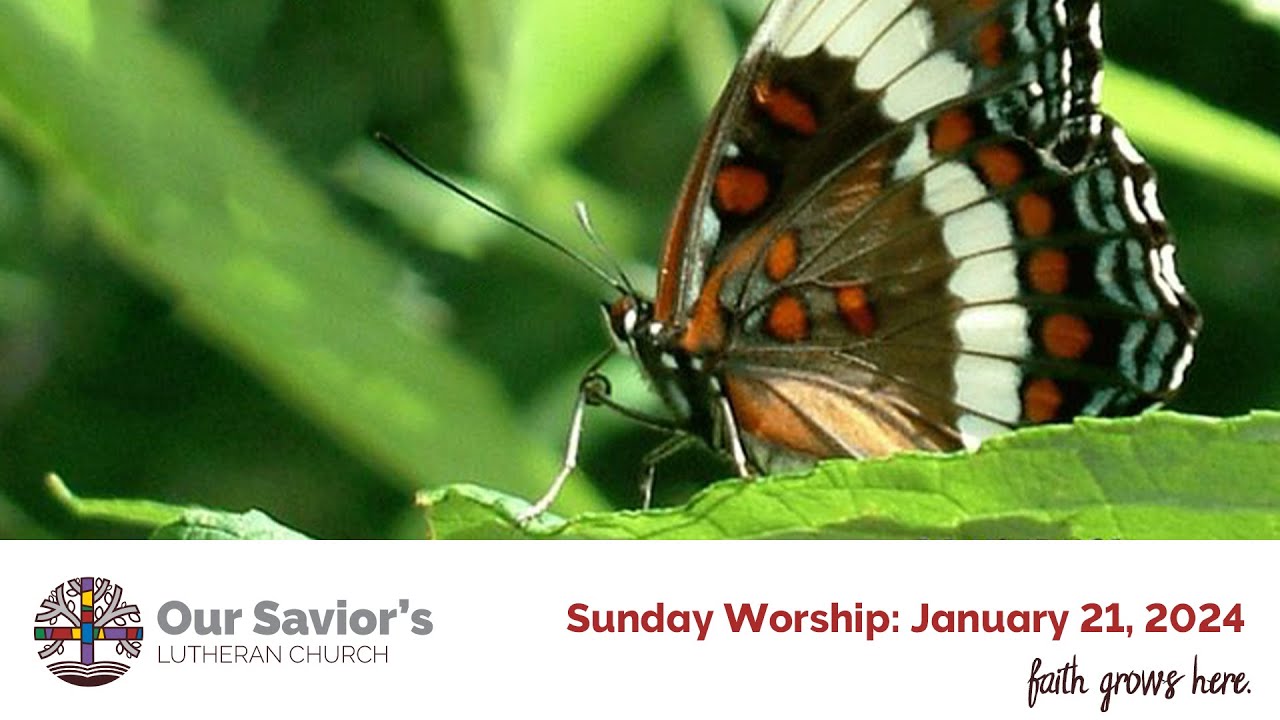 Sunday Worship Service at Our Savior's Lutheran Church Faribault, MN: January 21, 2024