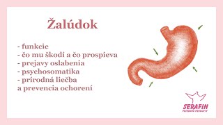 Digestív - prírodné kapsuly, 90 ks, Serafin