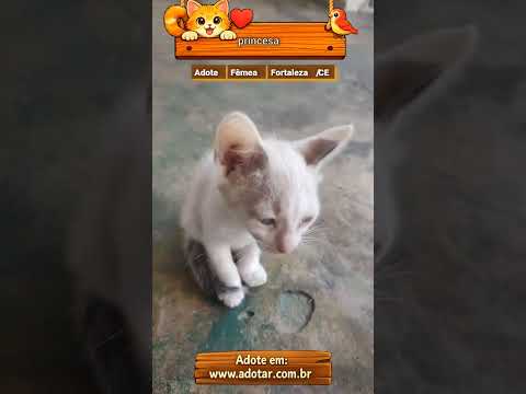 Vídeo de princesa