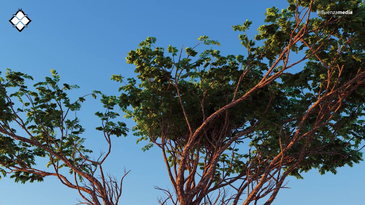 Ritual & Alpha Rhythm - Bliss