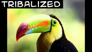 Tribalized - in-n-out ~ ~ [ tribal house ]