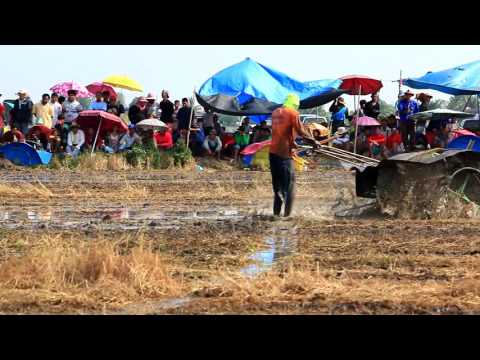 แข่งขันรถไถนาเดินตาม
