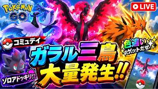 【コミュデイ】ガラル三鳥大量発生‼️『✨色違いゲットだぜ✨』【🔴LIVE】【ポケモンGO】