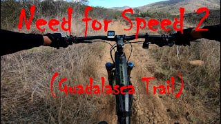 Shredding Gudalasca Trail DH