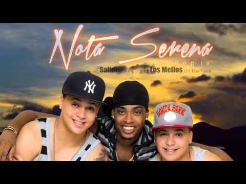 Salim El Arreglizta Ft. Los Mellos On The Track - Nota Serena (Remix)