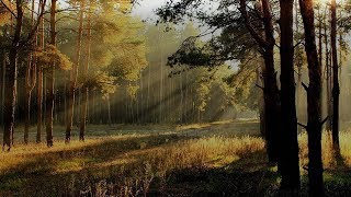 Zak Abel - Full Album &quot;Only When We&#39;re Naked&quot; (Link to Free Listen &amp; Lyrics) New LP 2017