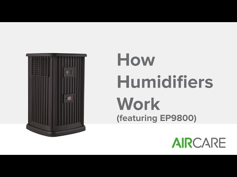 How Humidifiers Work (featuring EP9800)
