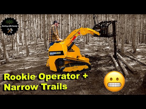 Mini Skid Steer Goes DEEP into the Woods Stacking Logs