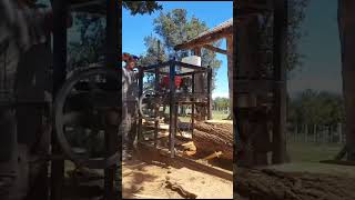 In Mallin Ahogado, Bolson