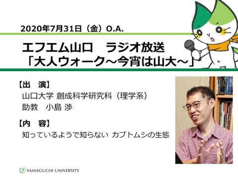 知っているようで知らない カブトムシの生態　山口大学創成科学研究科（理学系）小島 渉 助教（20.7.31 O.A.） 【山口大学／大人ウォーク～今宵は山大～】