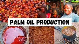 Step by Step of PALM OIL PRODUCTION PROCESSES||How to produce Palm oil at HOME||Gracious Tales