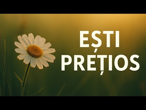 Tu ești floarea din grădină – Versiune nouă | The Way