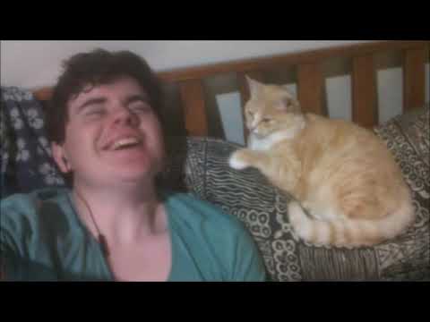 what my cat does when I yawn