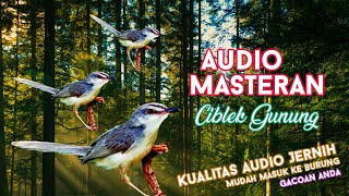 Download lagu #1 Audio Masteran Burung Ciblek/Prenjak Gunung Jeda Suara Air Gemricik Jernih mp3 Download lagu #1 Audio Masteran Burung Ciblek/Prenjak Gunung Jeda Suara Air Gemricik Jernih mp3