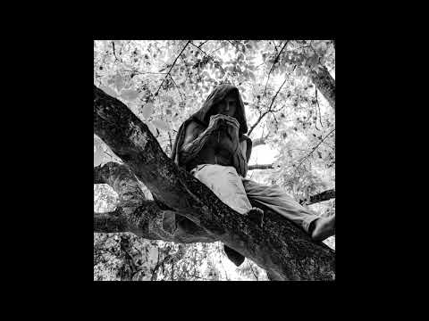 Entre las Cuerdas - Dante BuenTiempo