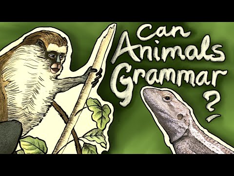 Grammanimals: Exploring the Grammar of Nonhuman Animals
