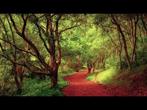 Escuche Mc - Sentimientos (Prod. Delta)