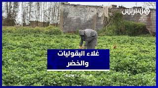 ارتفاع أسعار البقوليات والخضر الربيعية.. فلاحون يبررون ومواطنون يشتكون thumbnail