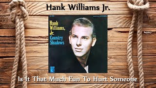 Hank Williams Jr. - Is It That Much Fun To Hurt Someone