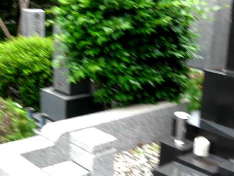 Asaka City Cemetery part 2