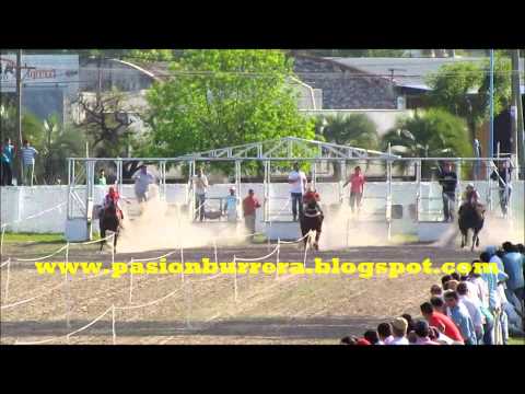 1° Clasificatoria Polla Haras El Remanso: Aguila Dash, Goya (27-09-14)