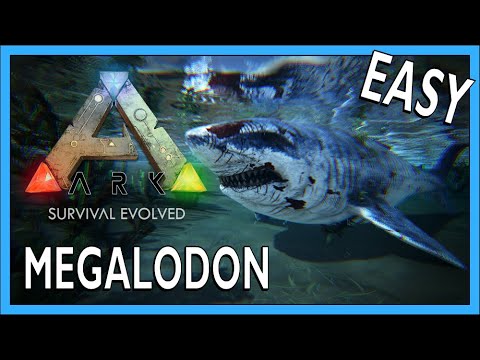 How To Tame A Megalodon In Ark Survival Evolved