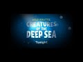 PBS Kids Family Night Promo Wild Kratts Creatures Of The Deep Sea Wild Alaska Live