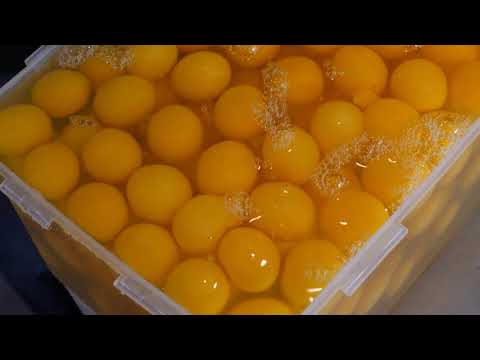 대왕카스테라 Making Giant Size Cake (Original, Cream, Cheese, Green tea Jiggly Cake) - Korean street food