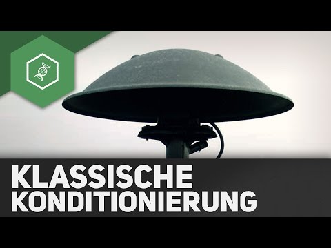 Classical Conditioning - Behavioral Biology 2