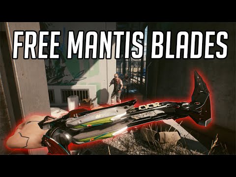 Cyberpunk 2077 Mantis Blades Location (Free & Legendary)