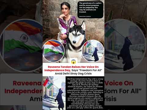Raveena Tandon raises her voice says freedom for all amid Delhi stray dog crisis #news#raveenatandon