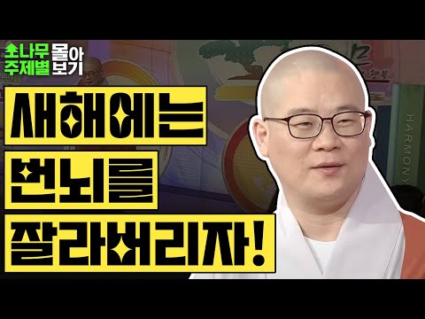 새해에는 번뇌를 잘라버리자 TOP3✨  [광우스님 소나무 주제별 몰아보기]