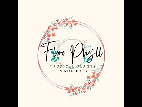 Subscribe to Floro Phyll