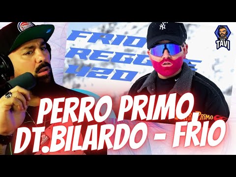 REACCION A Perro Primo, DT.Bilardo - Frio ( Video Oficial) Reggae 420
