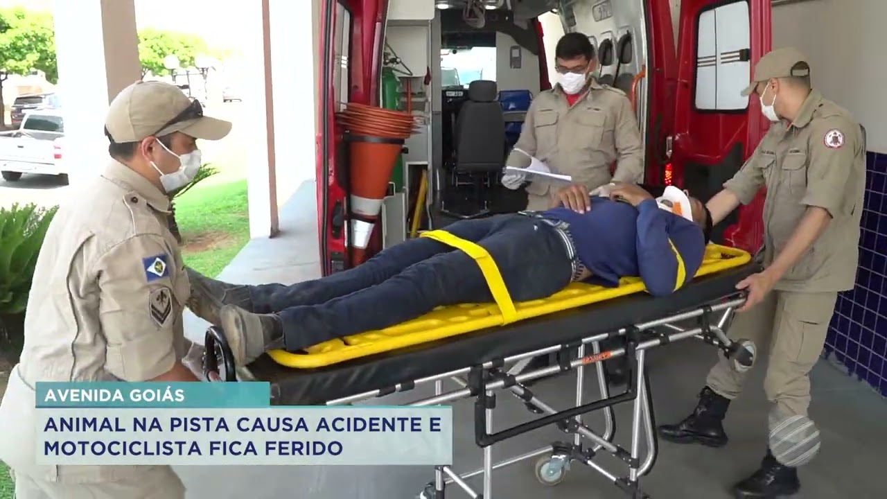 ANIMAL NA PISTA CAUSA ACIDENTE E MOTOCICLISTA FICA FERIDO