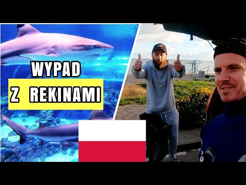 LOT DO POLSKI | WYKOPKI Z EKIPA REKINOW W REWIE EQUINOX 800 #DZIEN1 odc.83