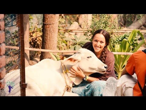 Joy of Krishna Consciousness 053 Hare Krishna Kirtan by ISKCON Studio