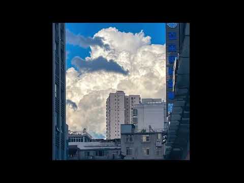 TOKYOPILL - Little Wing