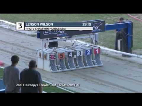 2019 RPGTV CHAMPION HURDLE - 1ST SEMI - T3 LENSON WILSON