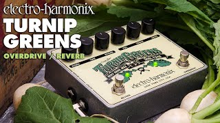 Electro-Harmonix Turnip Greens Overdrive / Reverb Pedal