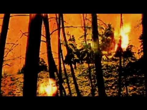 STUKA - A Forest (Remastered)