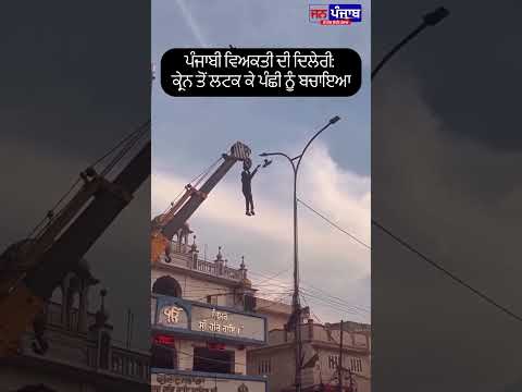 ਪੰਜਾਬੀ ਮਰਦ ਦੀ ਹਿੰਮਤ: ਪੰਛੀ ਬਚਾਉਣ ਲਈ ਕਰੇਨ ਤੋਂ ਲਟਕਿਆ