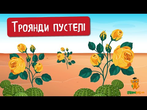 🍀 Дива природи. Явища навколо нас. Троянда пустелі 🌏