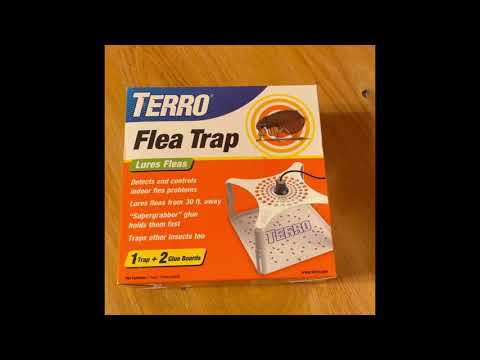 Non-toxic Terro FLEA TRAPS