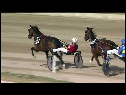 Napoli Trotto 03/10/2021 - 5ª corsa