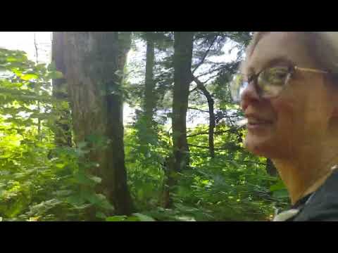 Camp Zerbe Oswego County ny First Tour / camp for kids