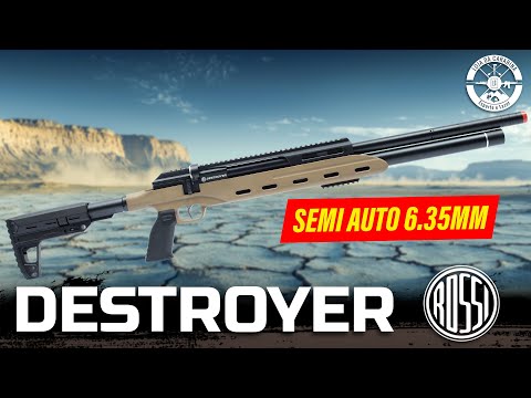 A NOVA CARABINA DA ROSSI! Conheça a Destroyer 6.35mm