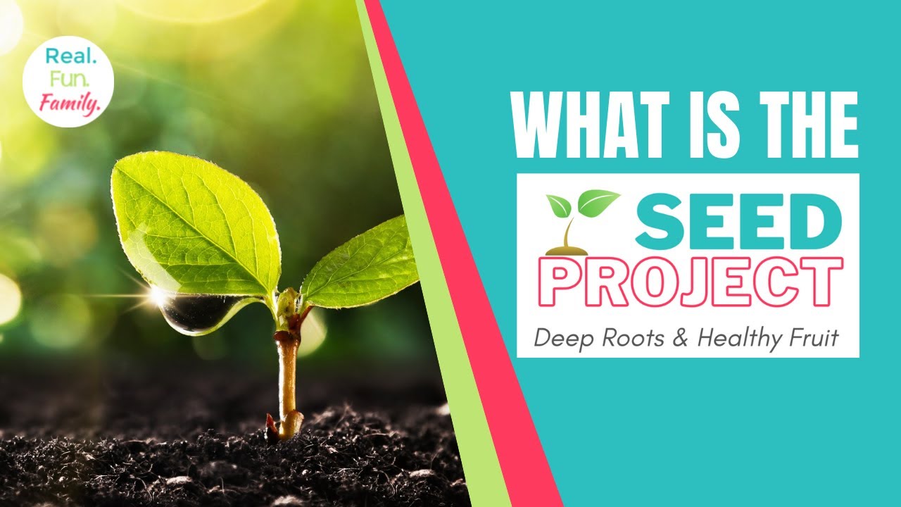 What Is The SEED Project?