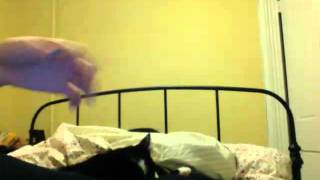 1-2 CRUSH ON YOU- THE CLASH