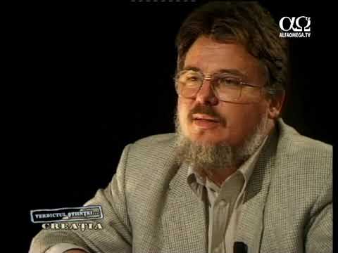 Verdictul științei: Creație 1.1